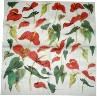 Stamperia - Serwetka ryżowa 50x50cm DFT139