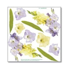 Folia do Sospeso z nadrukiem 23x24cm -12 gladiolus