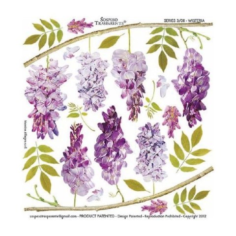 Folia do Sospeso z nadrukiem 23x24cm -3/08 wisteria