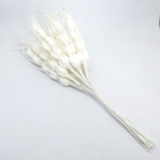 Kłosy zboża 10szt białe (1612047)