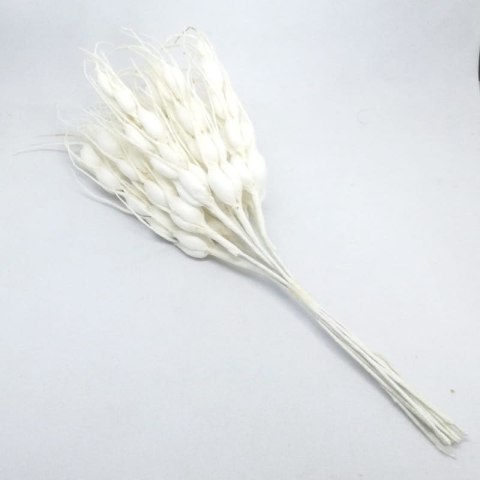 Kłosy zboża 10szt białe (1612047)