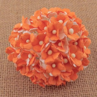 Kwiatki sweetheart 2-tonowe biało-pomarańczowe ok. 15mm - 10 szt (39375)