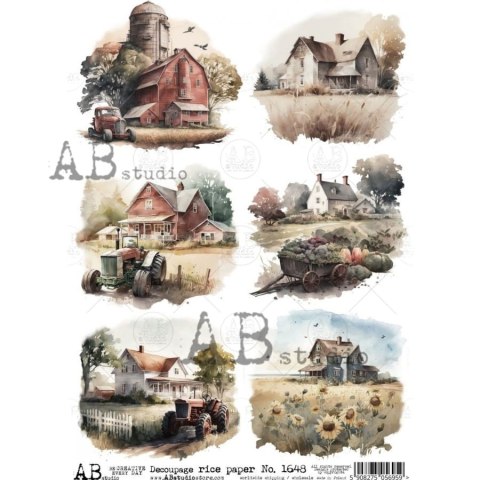 Papier ryżowy Abstudio A4 AB-1648