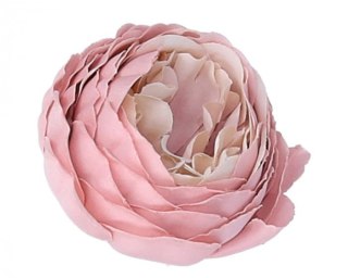 Piwonia różowa-kremowa śr 5cm (LC090-3)