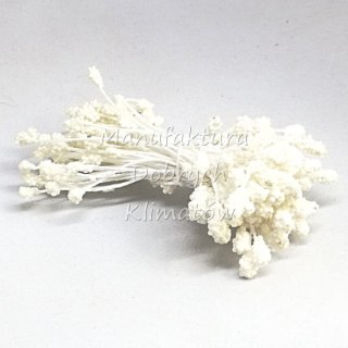 Pręciki do kwiatów - białe kuleczki