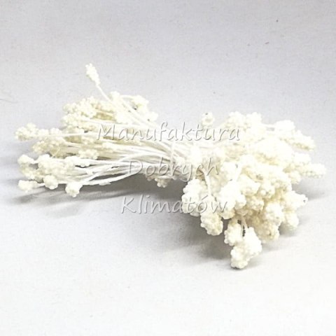 Pręciki do kwiatów - białe kuleczki