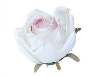 Róża biało-różowa śr 6cm(LC098-1)