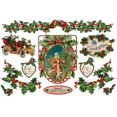 Stamperia Papier ryżowy 48x33cm DFS220