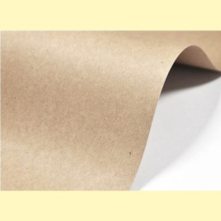 Papier EKO KRAFT 100g/m2 - 10ark A4