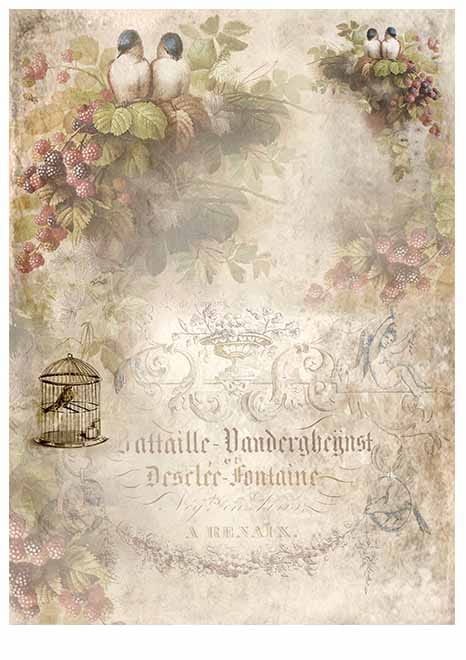 Papier do scrapbookingu Lace dreams A4 ITD SCRAP-06