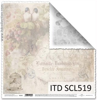 Papier do scrapbookingu dwustronny 30x30cm ITD SCL519