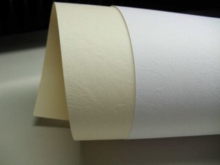 Papier wizytówkowy/fakturowany ELFENBENS 20ark A4 - skóra kremowa