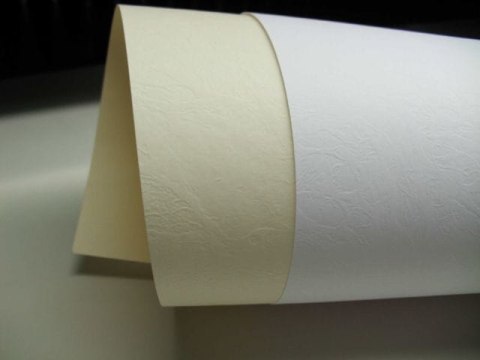 Papier wizytówkowy/fakturowany ELFENBENS 20ark A4 - skóra kremowa