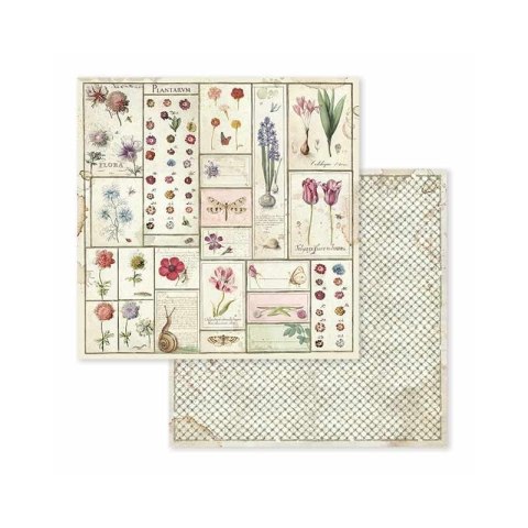 Zestaw 10 szt, papierów do scrapbookingu 30x30cm Stamperia SPRING BOTANIC SBBL50