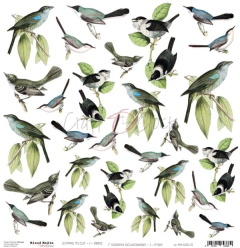 CC PTAKI - arkusz dodatków do wycięcia [CC-MM-DOD-1]