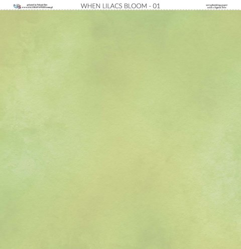 Galeria Papieru Papier do scrapbookingu 30x30cm Gdy kwitną bzy 01 GKB01