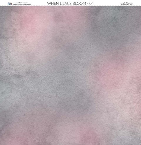 Galeria Papieru Papier do scrapbookingu 30x30cm Gdy kwitną bzy 04 GKB04