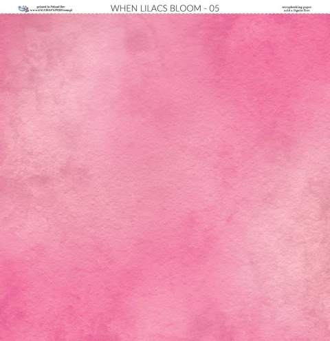 Galeria Papieru Papier do scrapbookingu 30x30cm Gdy kwitną bzy 05 GKB05