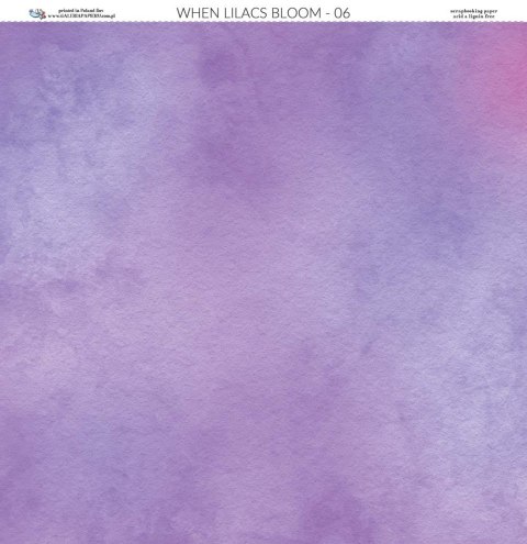 Galeria Papieru Papier do scrapbookingu 30x30cm Gdy kwitną bzy 06 GKB06