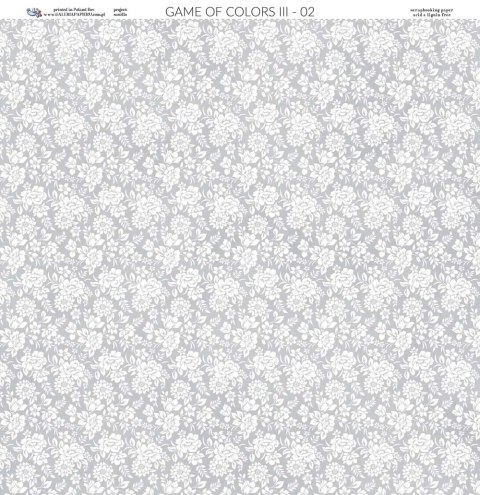 Galeria Papieru Papier do scrapbookingu 30x30cm Gra w kolory III 02 GWKIII02