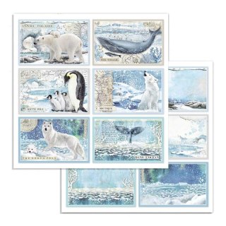 Papier do scrapbookingu 30x30cm Stamperia ARCTIC 6 KART SBB732