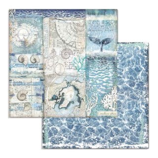 Papier do scrapbookingu 30x30cm Stamperia ARCTIC RAFA WODA SBB731