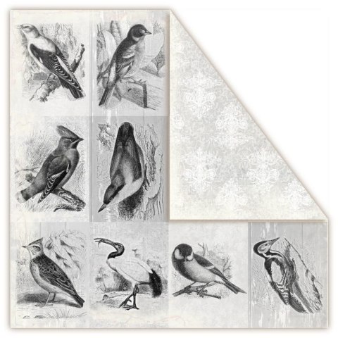 UHK Gallery - DIAMONDS - Regent