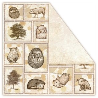 UHK Gallery - Terra Incognita - ARBOREOUS