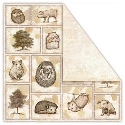 UHK Gallery - Terra Incognita - ARBOREOUS