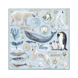Zestaw 10 szt, papierów do scrapbookingu 20,3x20,3cm Stamperia ARCTIC SBBS20