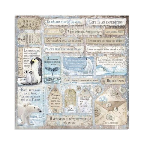 Zestaw 10 szt, papierów do scrapbookingu 20,3x20,3cm Stamperia ARCTIC SBBS20