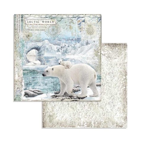 Zestaw 10 szt, papierów do scrapbookingu 20,3x20,3cm Stamperia ARCTIC SBBS20
