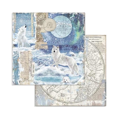 Zestaw 10 szt, papierów do scrapbookingu 20,3x20,3cm Stamperia ARCTIC SBBS20