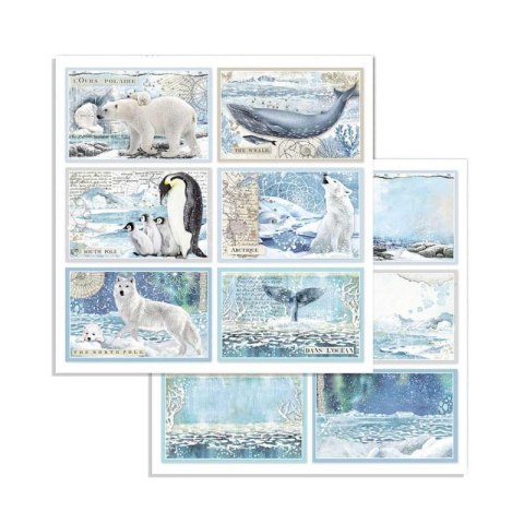 Zestaw 10 szt, papierów do scrapbookingu 20,3x20,3cm Stamperia ARCTIC SBBS20