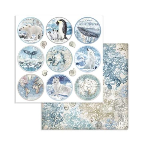 Zestaw 10 szt, papierów do scrapbookingu 20,3x20,3cm Stamperia ARCTIC SBBS20