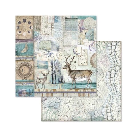 Zestaw 10 szt, papierów do scrapbookingu 20,3x20,3cm Stamperia COSMOS SBBS11
