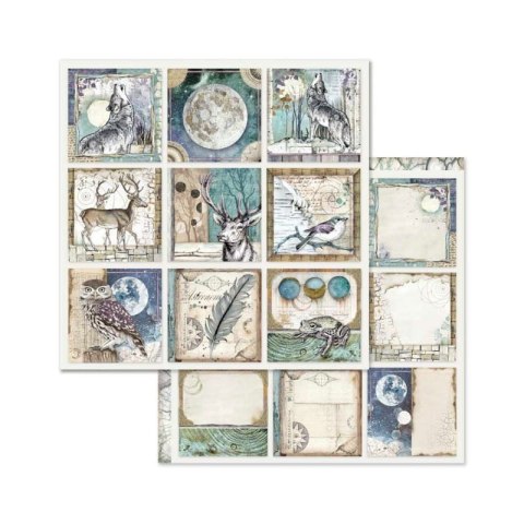 Zestaw 10 szt, papierów do scrapbookingu 20,3x20,3cm Stamperia COSMOS SBBS11