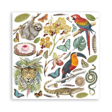 Zestaw 10 szt, papierów do scrapbookingu 30x30cm Stamperia AMAZONIA SBBL83