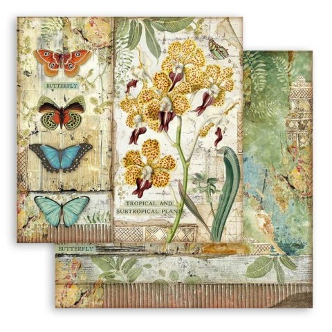 Zestaw 10 szt, papierów do scrapbookingu 30x30cm Stamperia AMAZONIA SBBL83