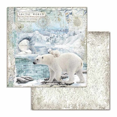 Zestaw 10 szt, papierów do scrapbookingu 30x30cm Stamperia ARCTIC ANTARCTIC SBBL77