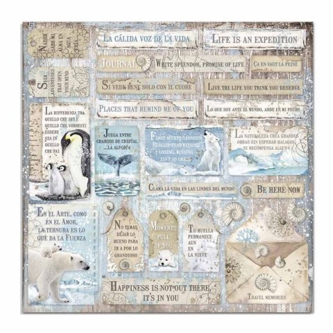 Zestaw 10 szt, papierów do scrapbookingu 30x30cm Stamperia ARCTIC ANTARCTIC SBBL77