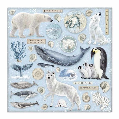 Zestaw 10 szt, papierów do scrapbookingu 30x30cm Stamperia ARCTIC ANTARCTIC SBBL77