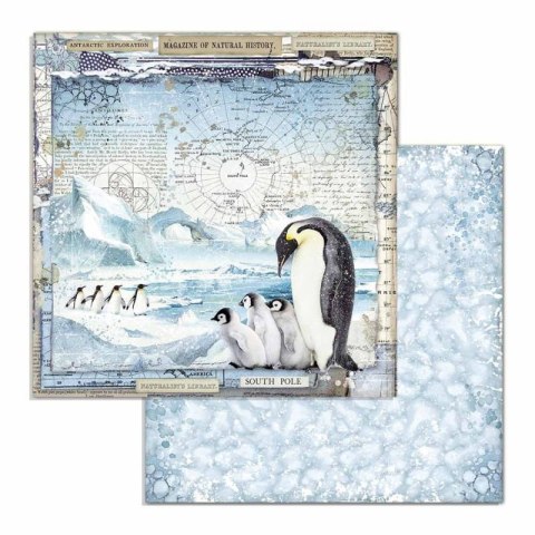 Zestaw 10 szt, papierów do scrapbookingu 30x30cm Stamperia ARCTIC ANTARCTIC SBBL77