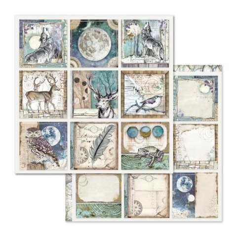Zestaw 10 szt, papierów do scrapbookingu 30x30cm Stamperia COSMOS SBBL56