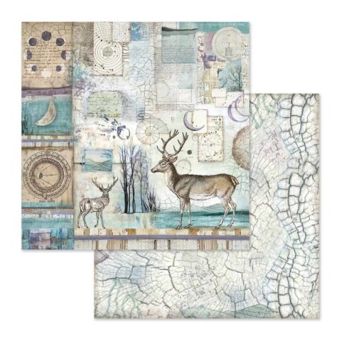 Zestaw 10 szt, papierów do scrapbookingu 30x30cm Stamperia COSMOS SBBL56