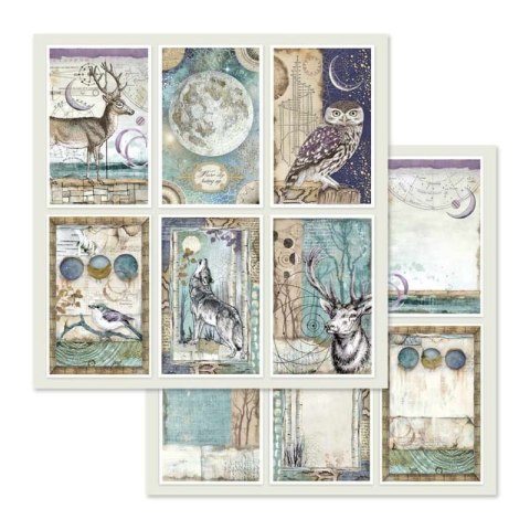 Zestaw 10 szt, papierów do scrapbookingu 30x30cm Stamperia COSMOS SBBL56