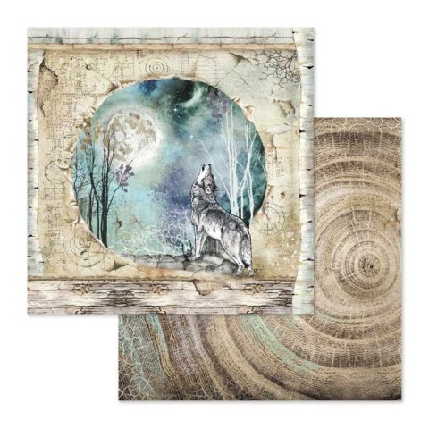 Zestaw 10 szt, papierów do scrapbookingu 30x30cm Stamperia COSMOS SBBL56