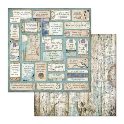 Zestaw 10 szt, papierów do scrapbookingu 30x30cm Stamperia COSMOS SBBL56