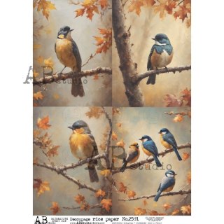 Papier ryżowy Abstudio A4 AB-2591