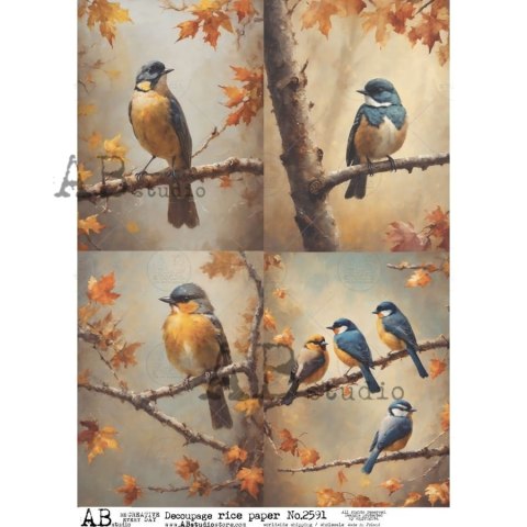 Papier ryżowy Abstudio A4 AB-2591